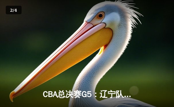CBA总决赛G5：辽宁队加时绝杀广东，完成三连冠伟业 - 2